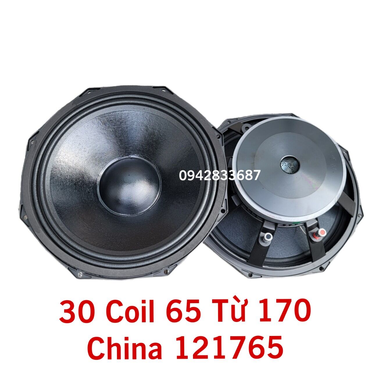 Bass 30 coil 65 từ 170 china