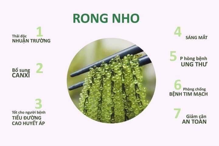 Gói Rong nho Yukibudo 25g