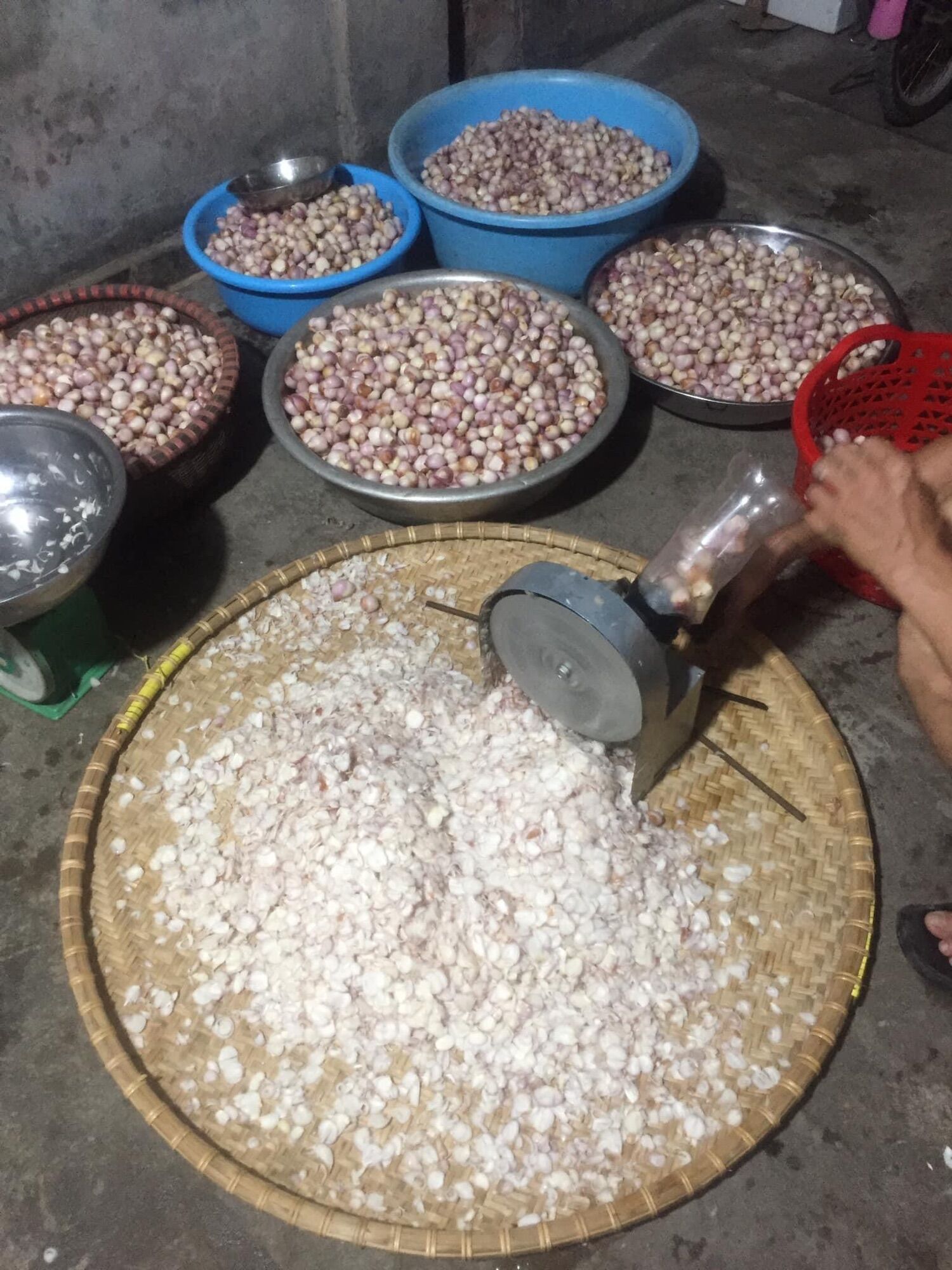 Hành phi khô hộp 500g