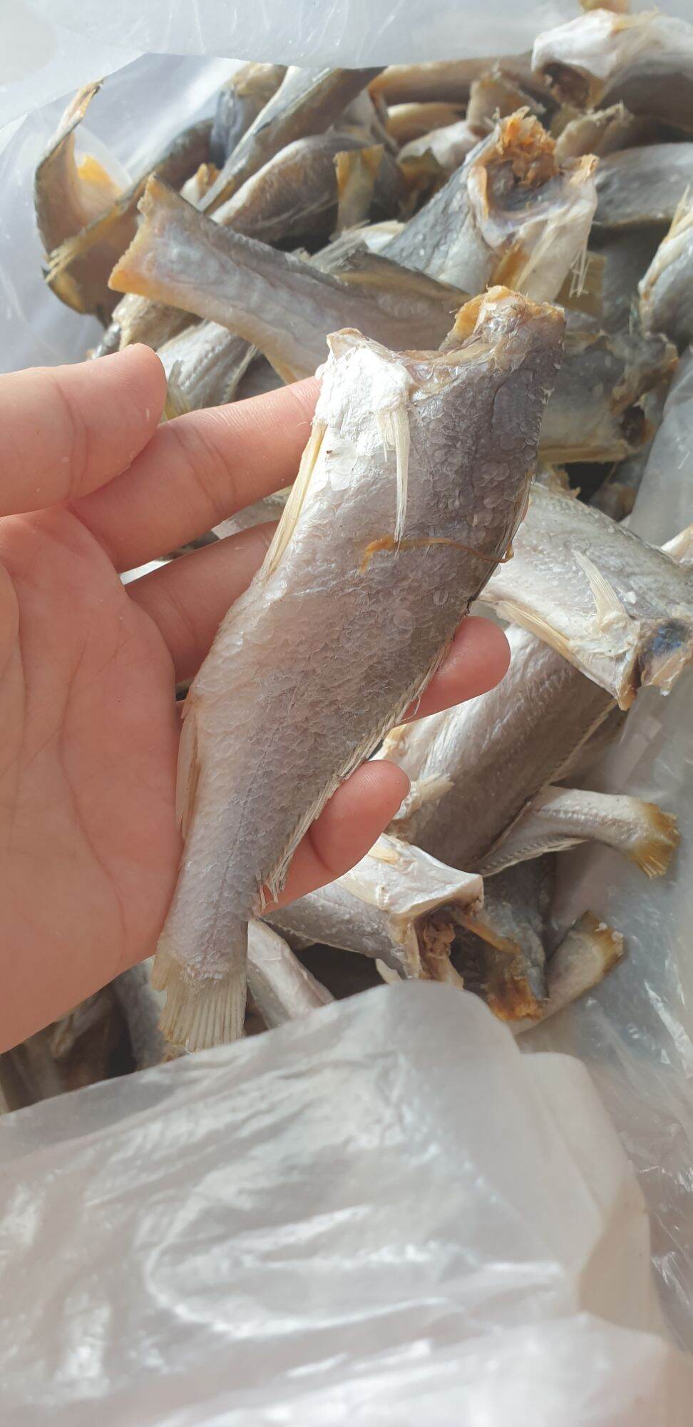 Khô cá đù mặn - 1kg