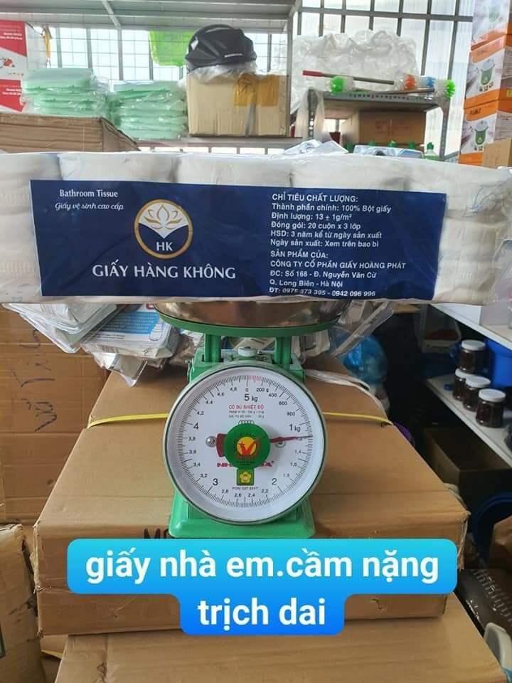 Giấy vệ sinh in hình cá heo xanh