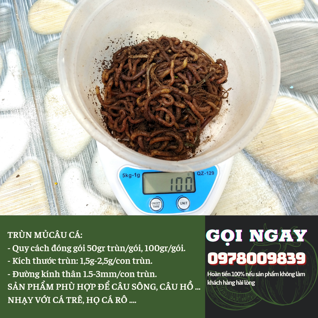 TRÙN MỦ, GIUN MỦ CÂU CÁ.