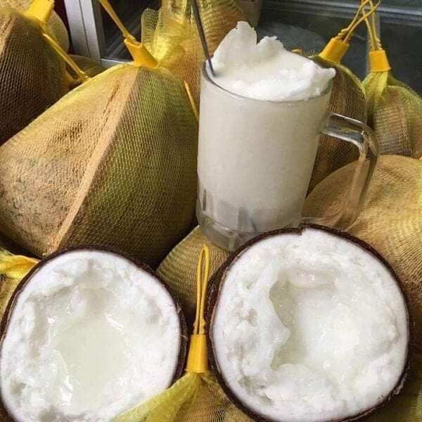 Dừa sáp trái 1kg trở lên bao ngon