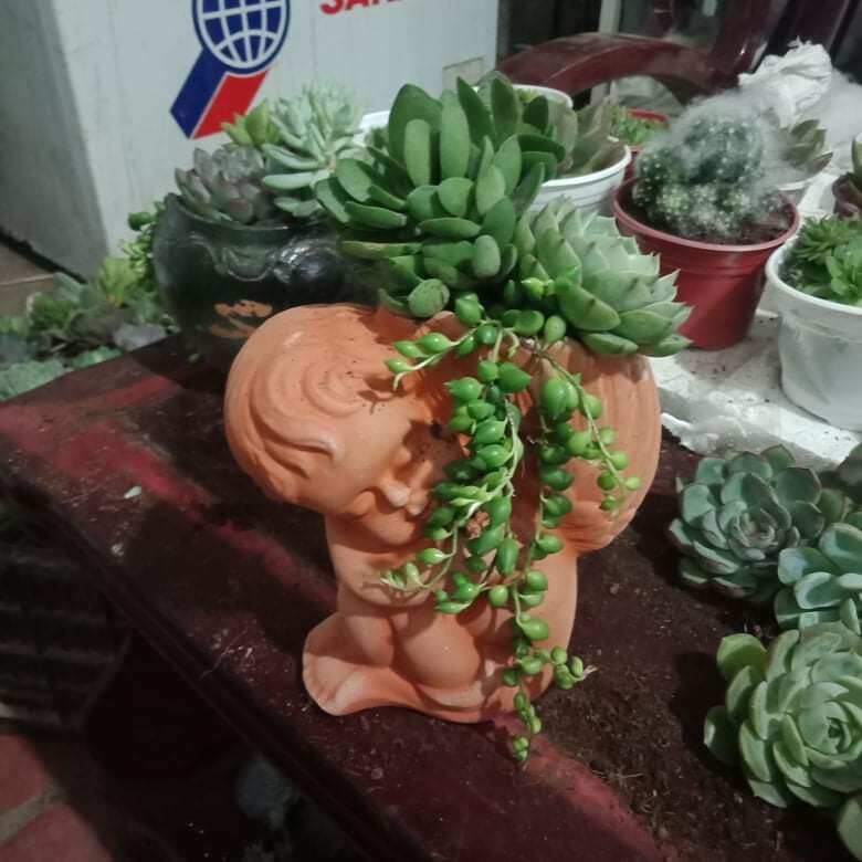 Chậu đất nung Bình Dương dáng thiên thần