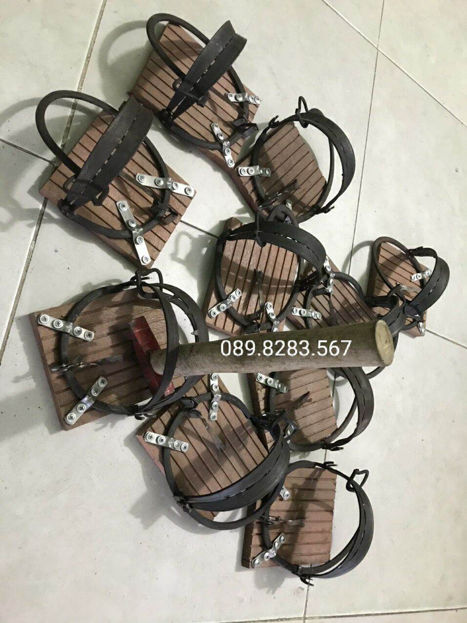 [HCM]Bẩy chim cú mèo