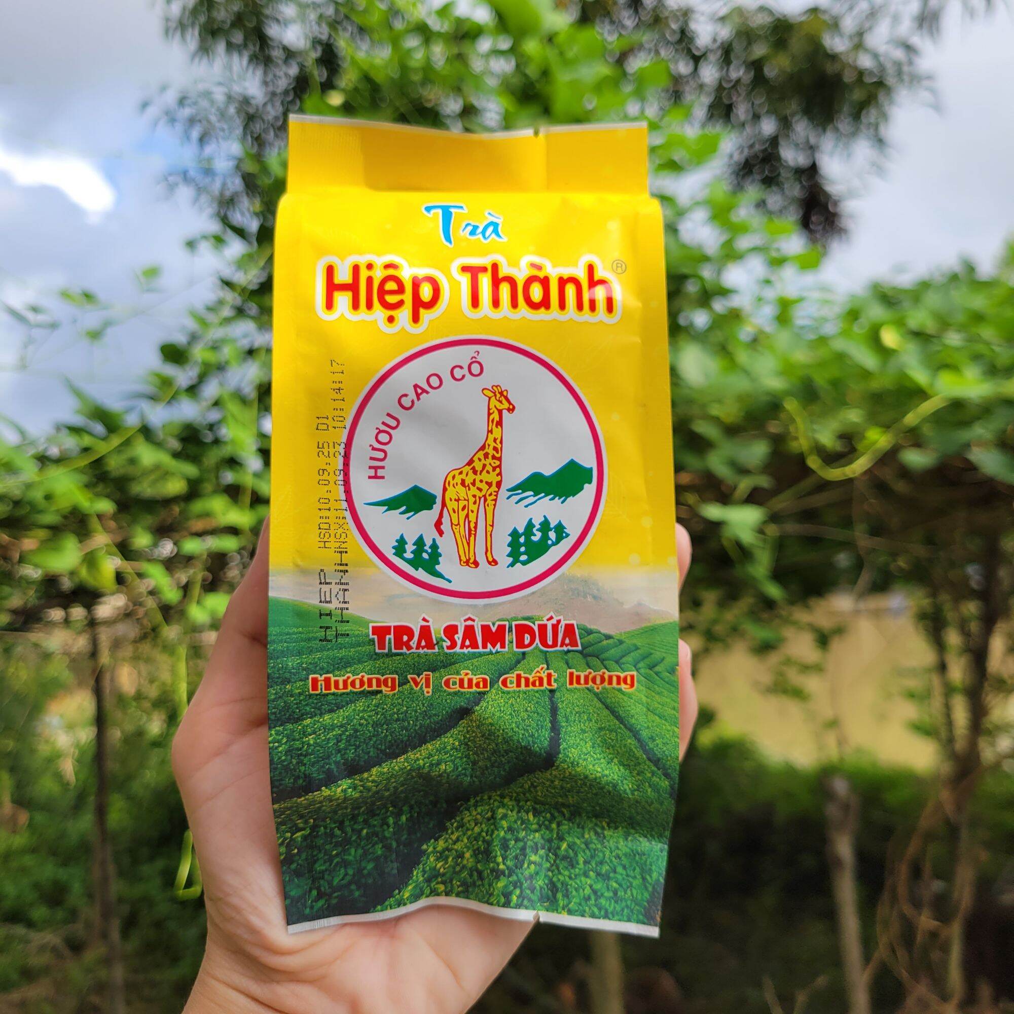 TRÀ SÂM DỨA HIỆP THÀNH, lốc 6 gói × 70g.