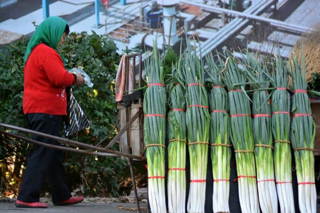 300 HẠT GIỐNG HÀNH BARO KHỔNG LỒ