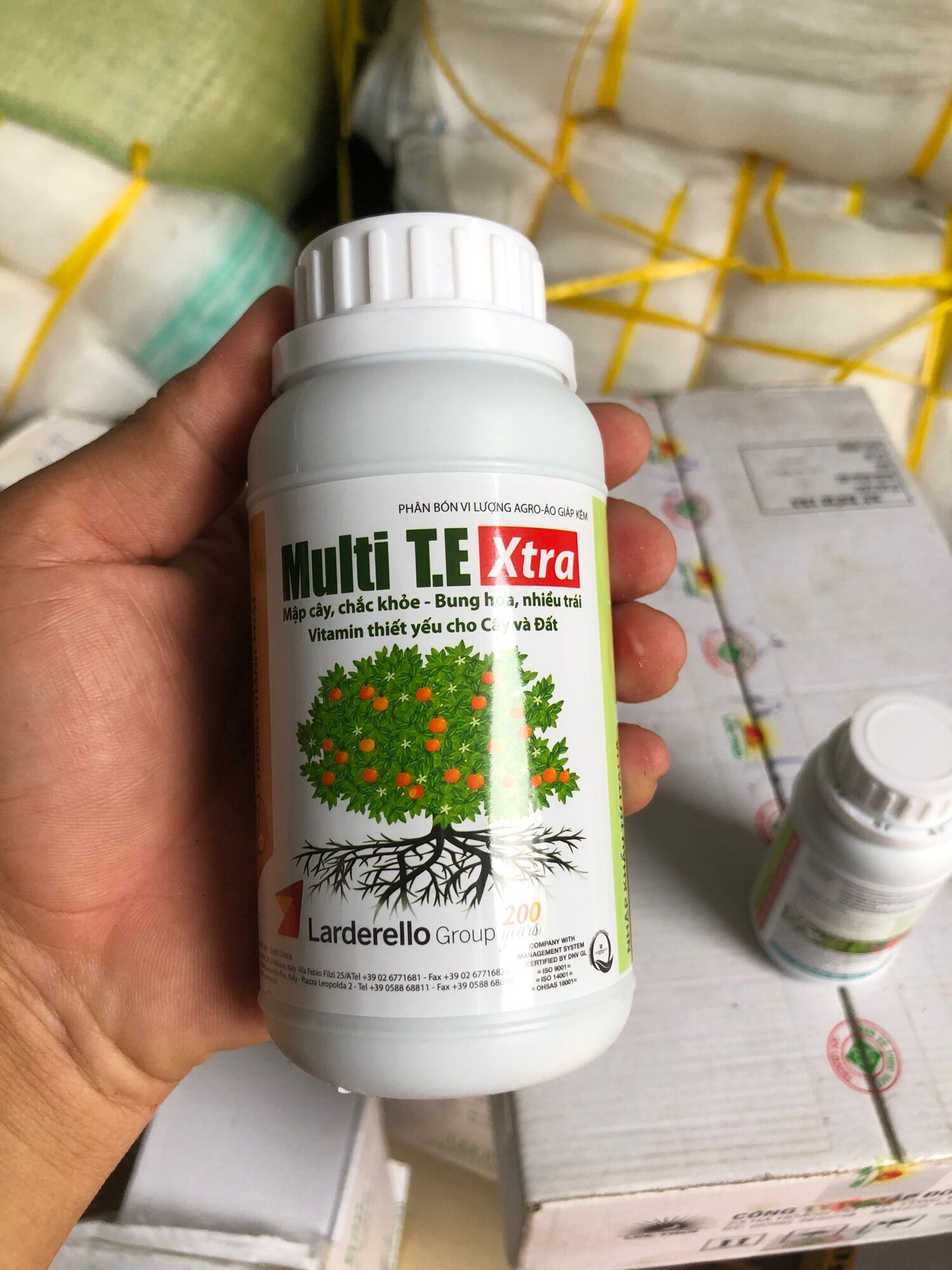 Mập cây chắc khoẻ Multi TE Xtra