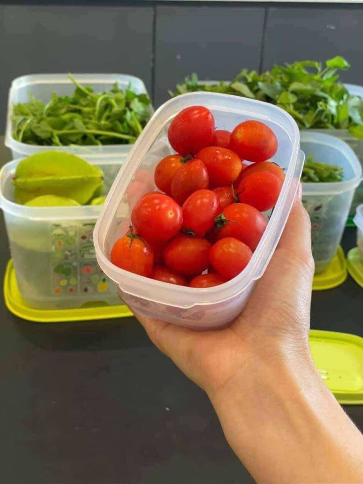 Hộp trữ mát Vensmart 375ml Tupperware