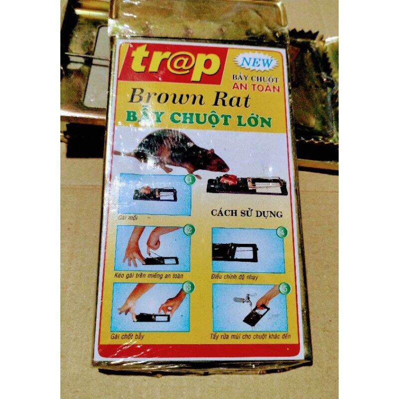 [HCM]Bẫy sập chuột lớn