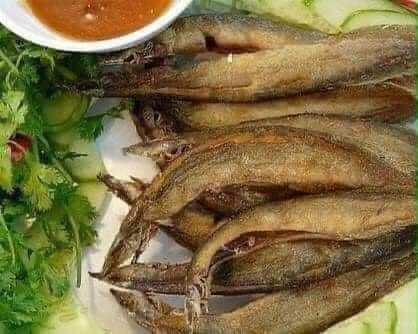 500g khô cá chạch đồng