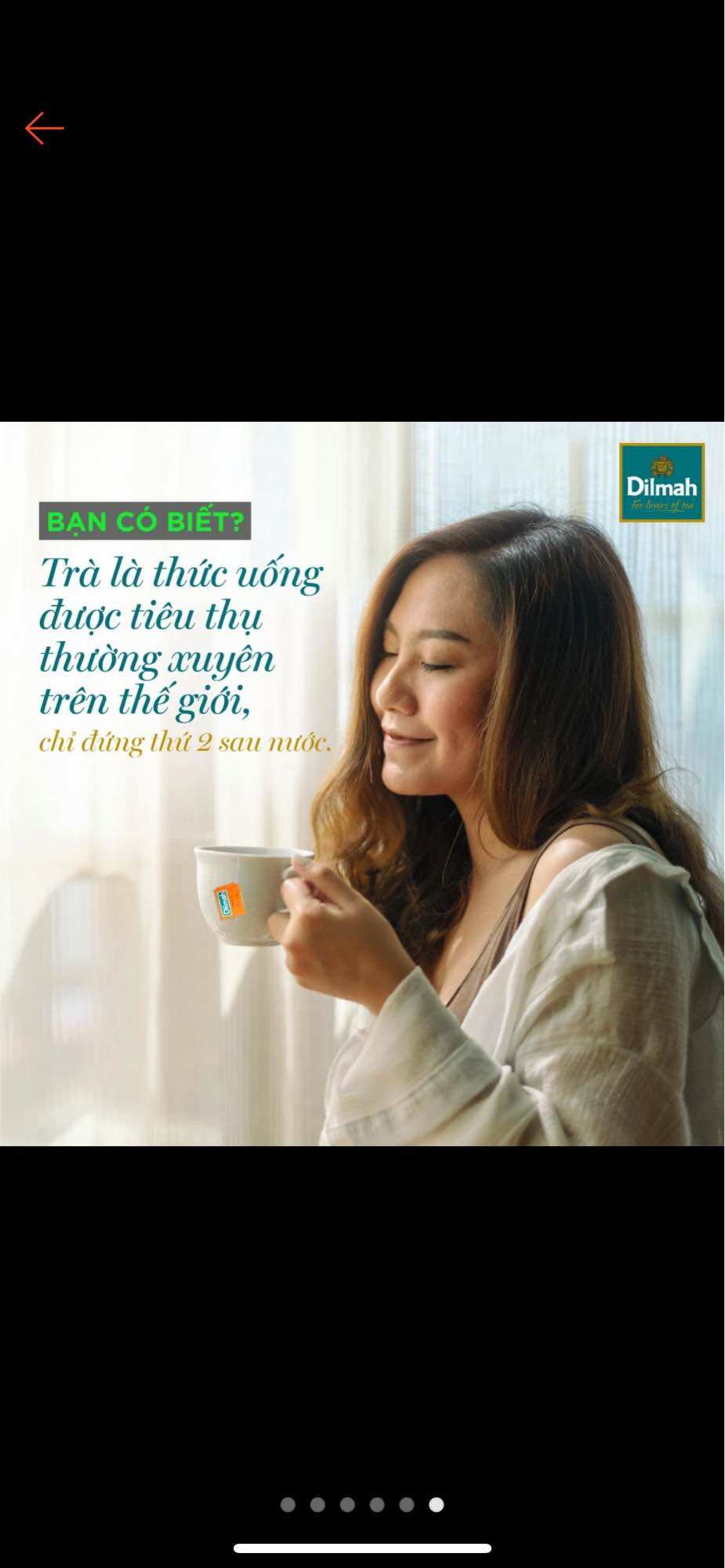 TRÀ DILMAH CAM LÊ