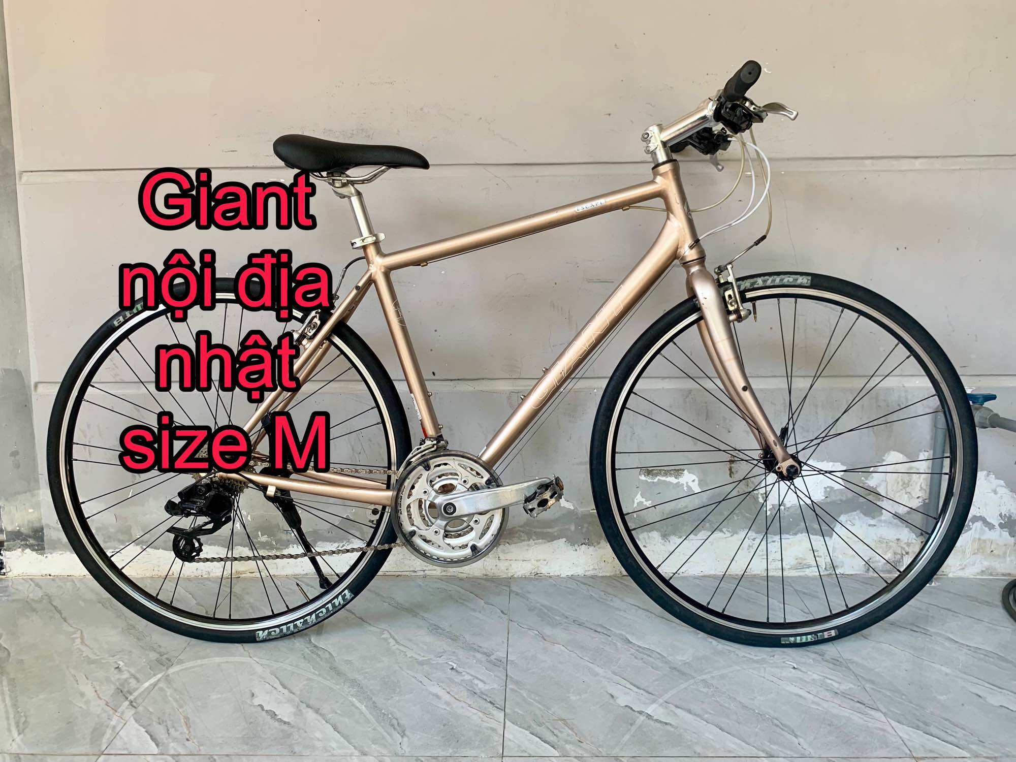 Xe đạp bãi nhật giant escape r3