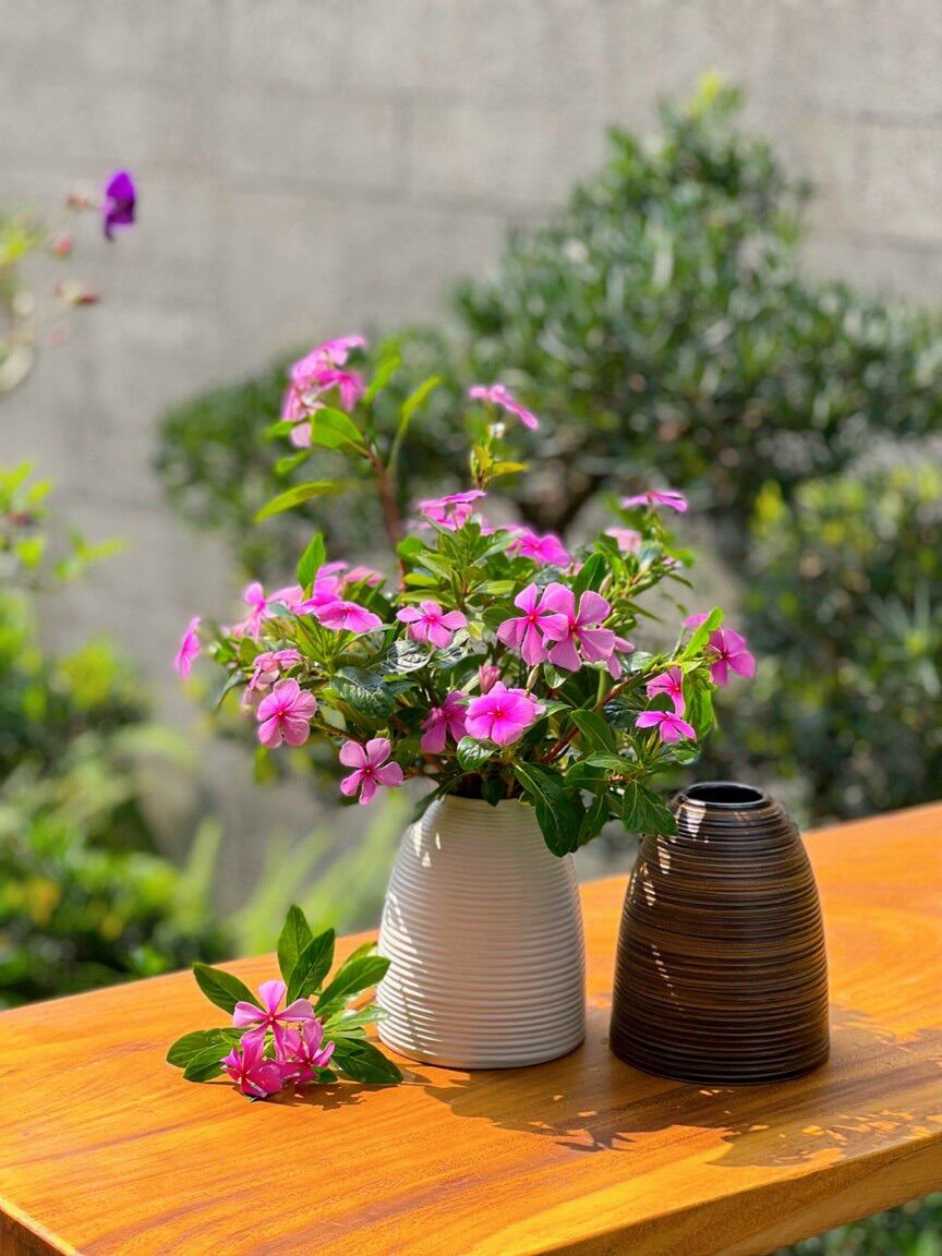 lọ hoa mini dáng chuông gốm bát tràng
