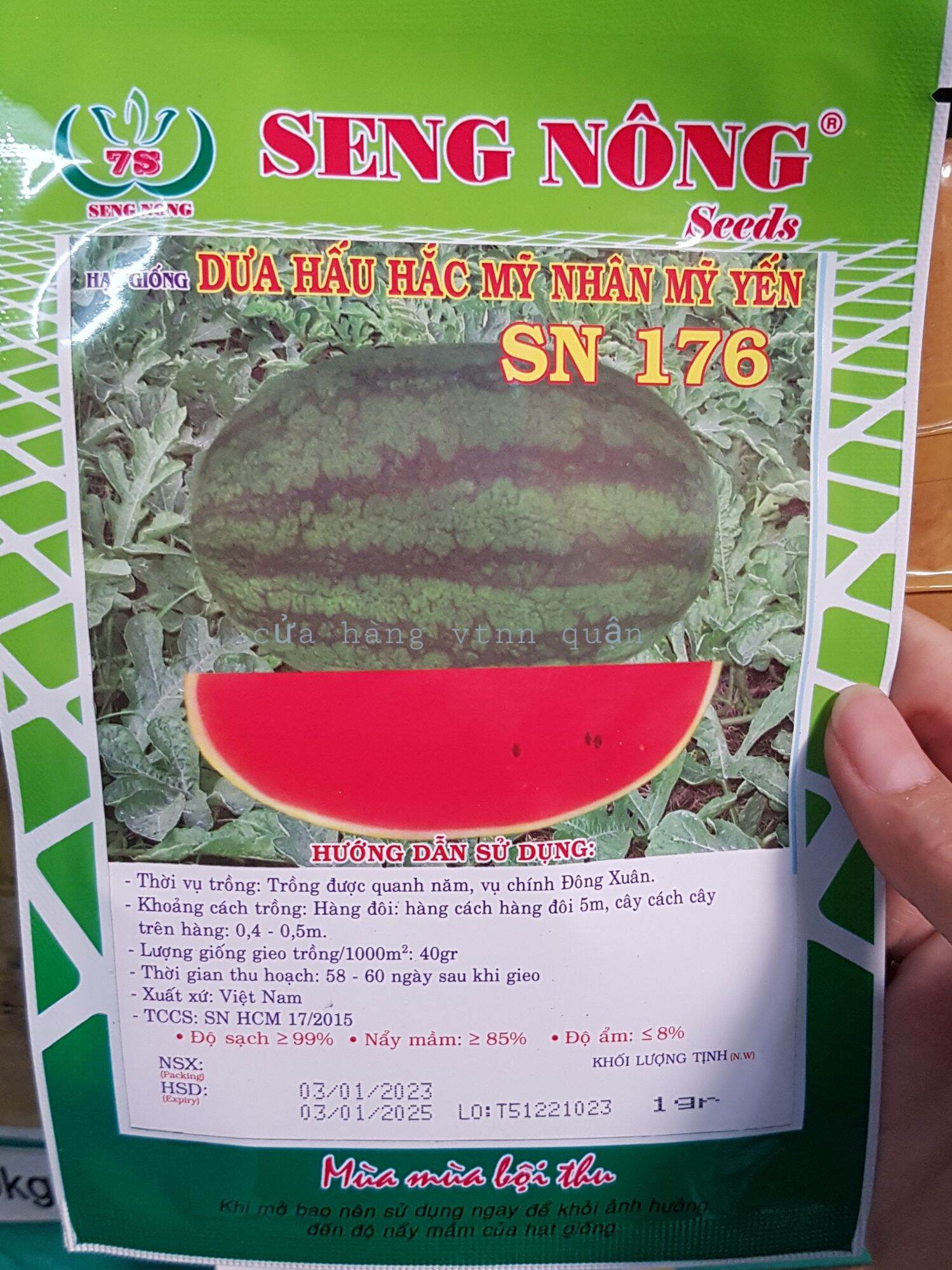 hạt giống dưa hấu