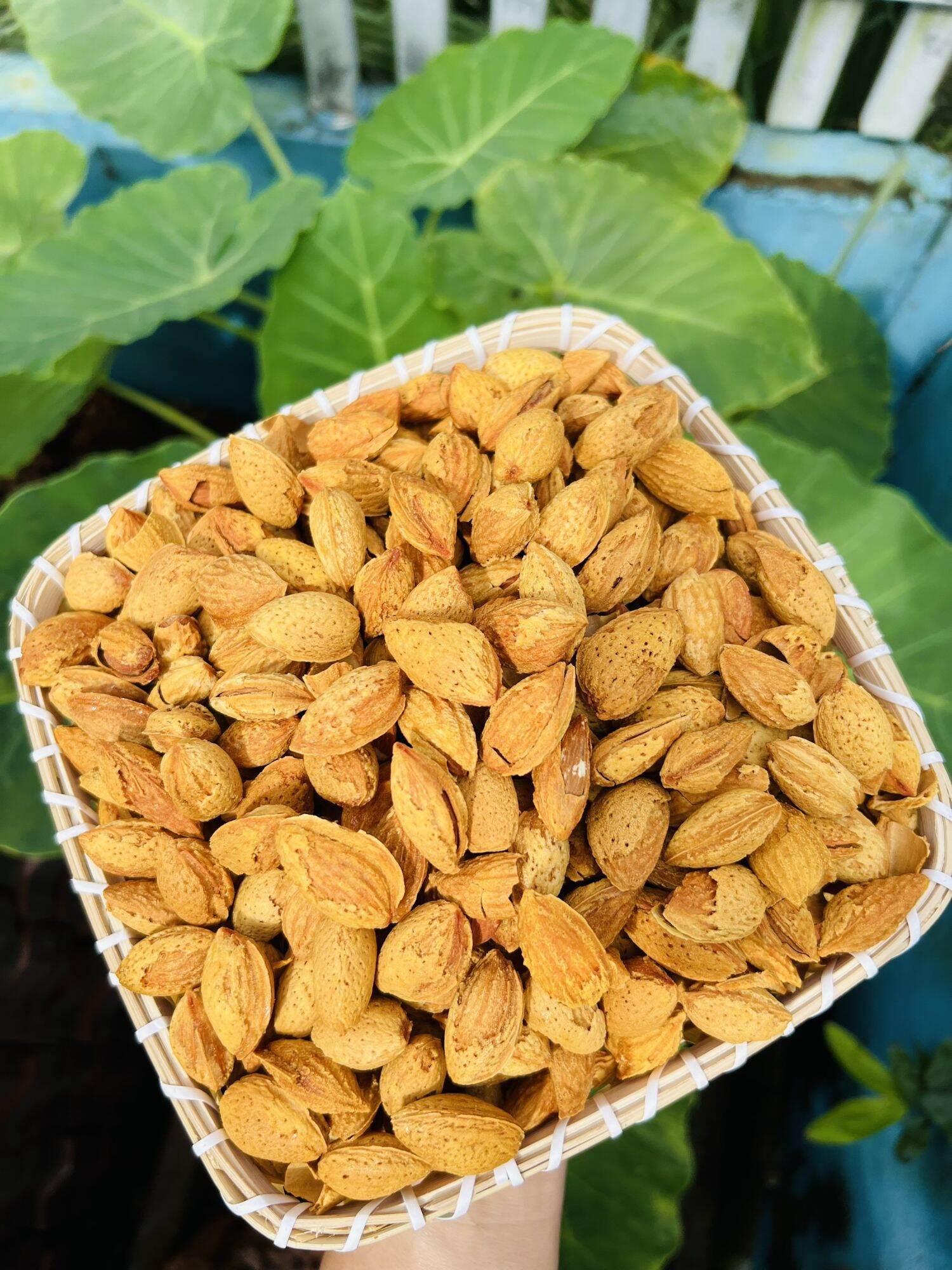 Hạnh nhân rang bơ 450g