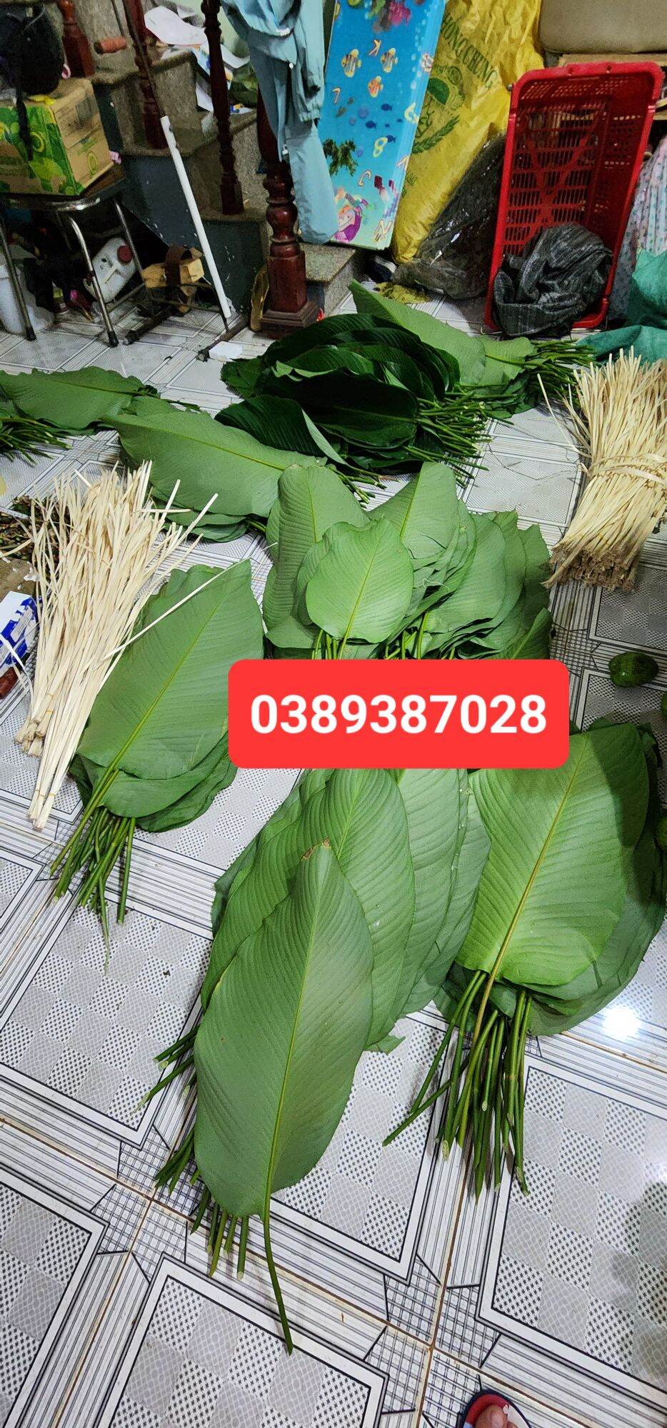 Lá dong loại nhỏ,100 lá ngang khoảng 20cm