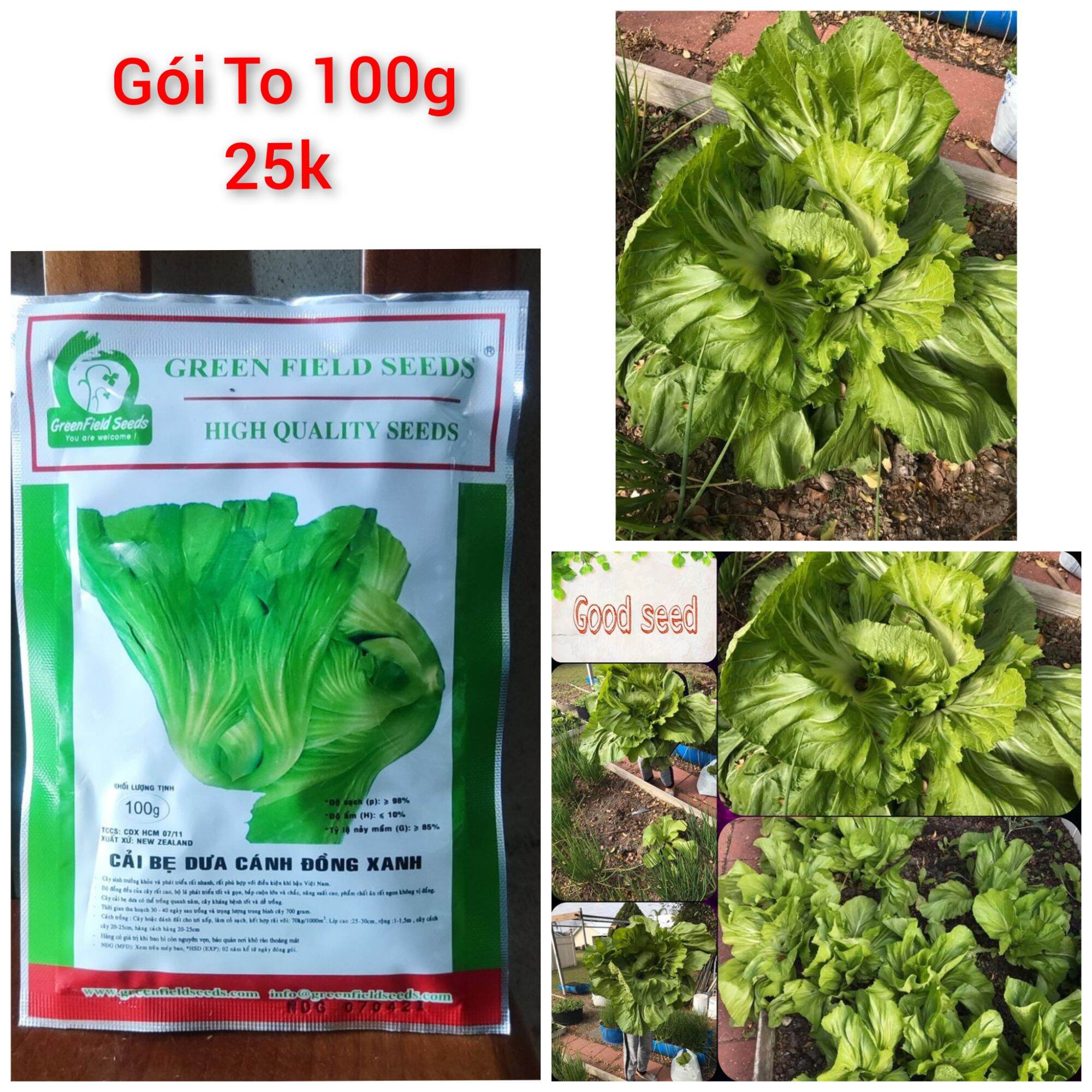 Gói cải dưa bẹ gói 100g chất lượng cao