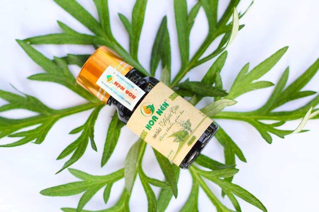 TINH DẦU NGÃI CỨU NGUYÊN CHẤT