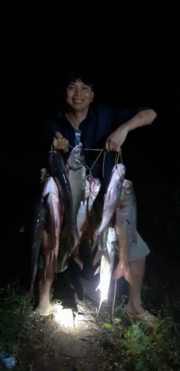 TINH MÙI CÂU CÁ THE ONE HƯƠNG KHÓM