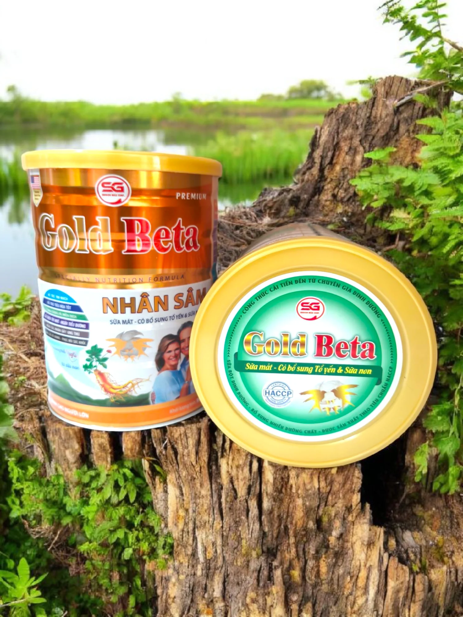 Sữa Gold Beta nhân sâm 900g- sữa dành cho người già tăng sức đề kháng và phục hồi sức khoẻ