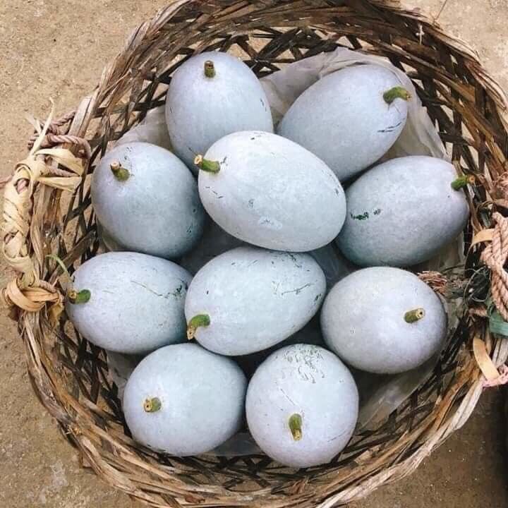 3kg Bí thơm Lạng Sơn