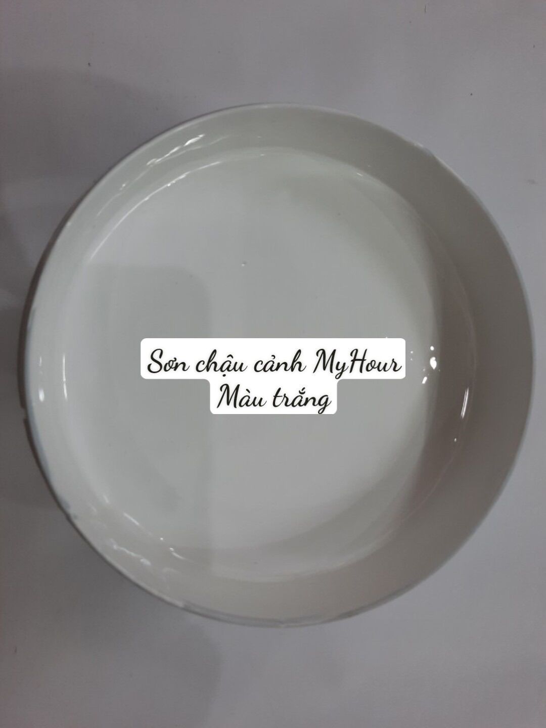 Sơn chậu cảnh màu trắng, Sơn Chậu Kiểng, Sơn Chậu Cảnh, Sơn Trang Trí My Hour