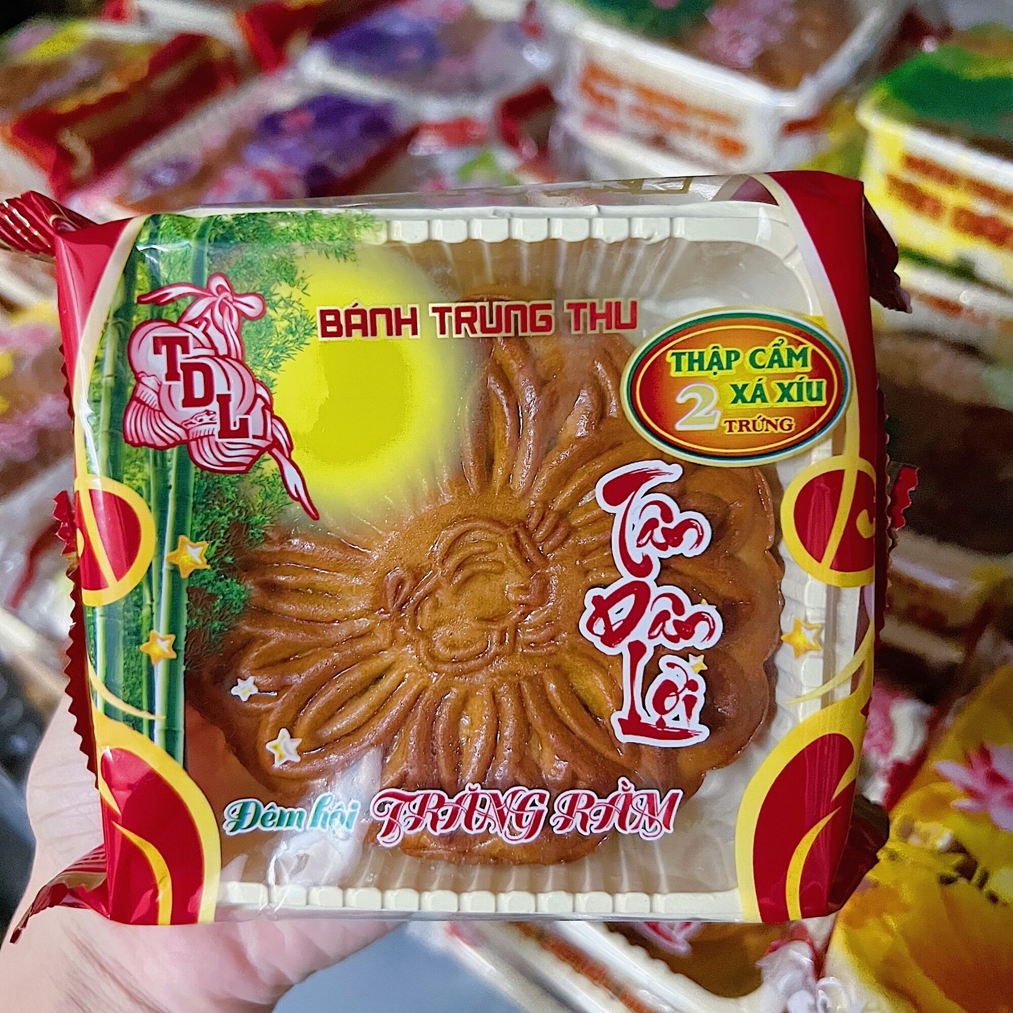 ( Thập Cẩm Xá Xíu 2 Trứng ) BÁNH TRUNG THU TÂN DÂN LỢI 200g