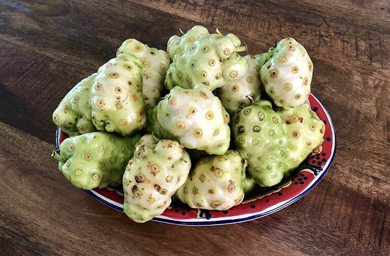 10  kg nhàu tươi