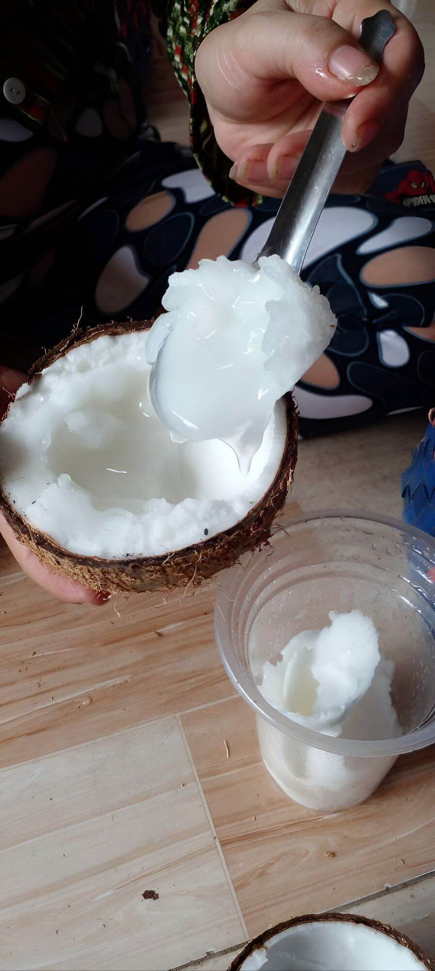 Dừa Sáp Cầu Kè Loại 1 Đặc Biệt (Nhiều Size)