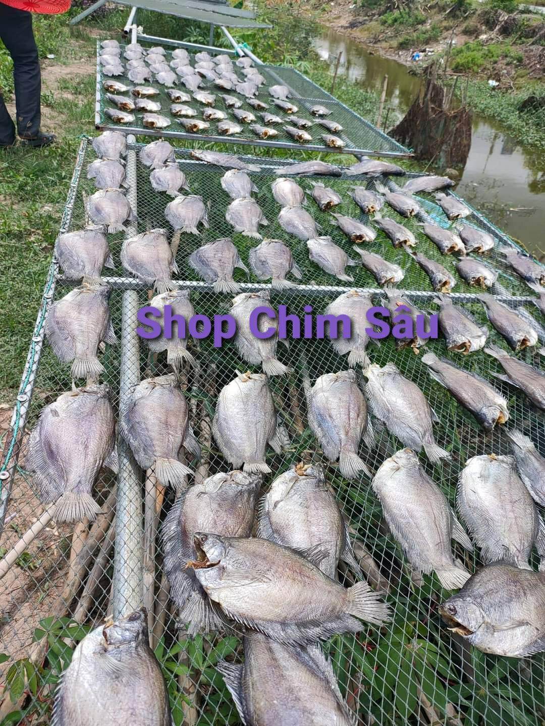 Khô sặc rằn (Sặc bổi)Cà Mau ( Loại 11 đến 12 con/kí)