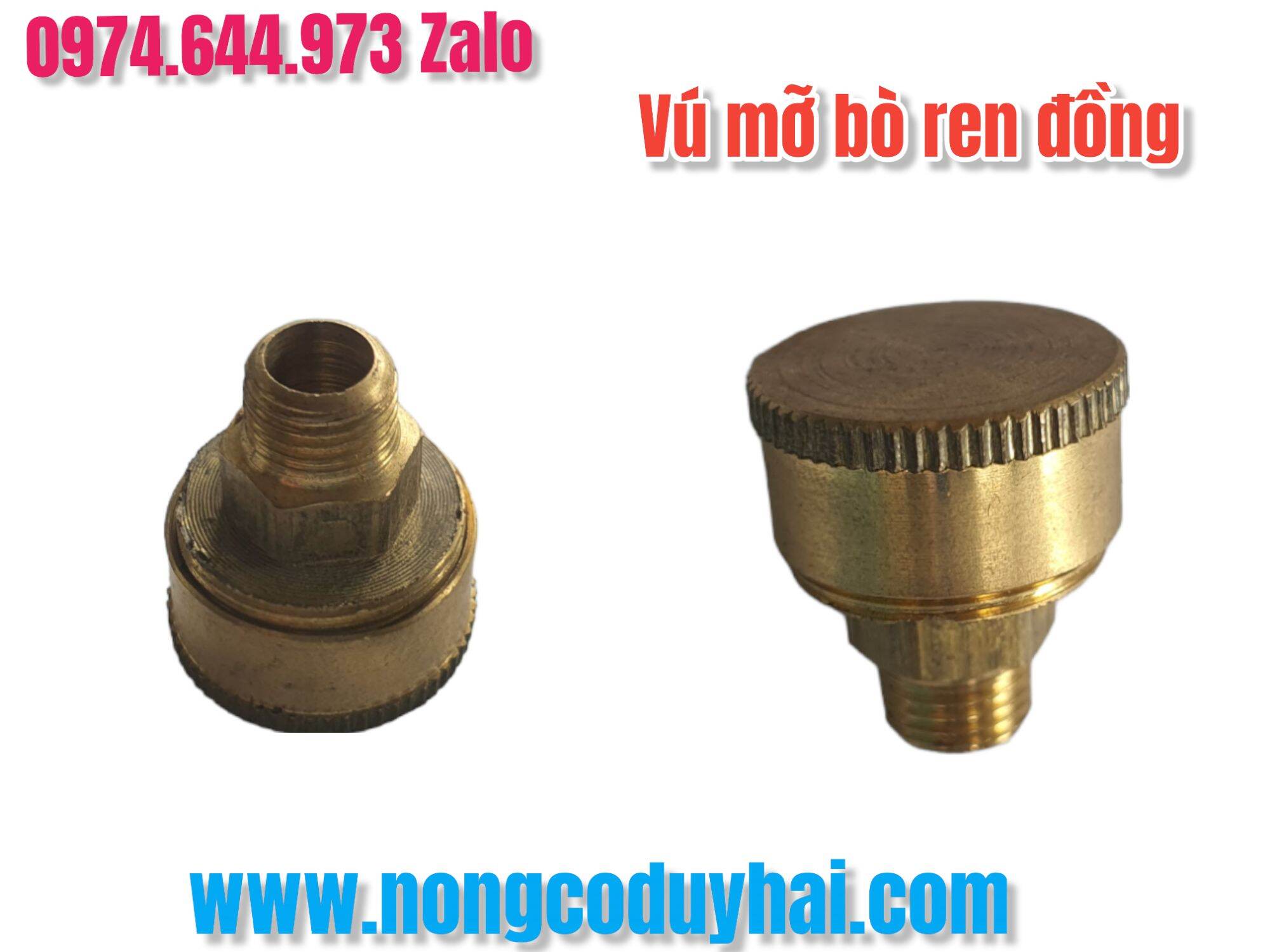 Vú mỡ bò đầu rửa xe ren đồng 8mm