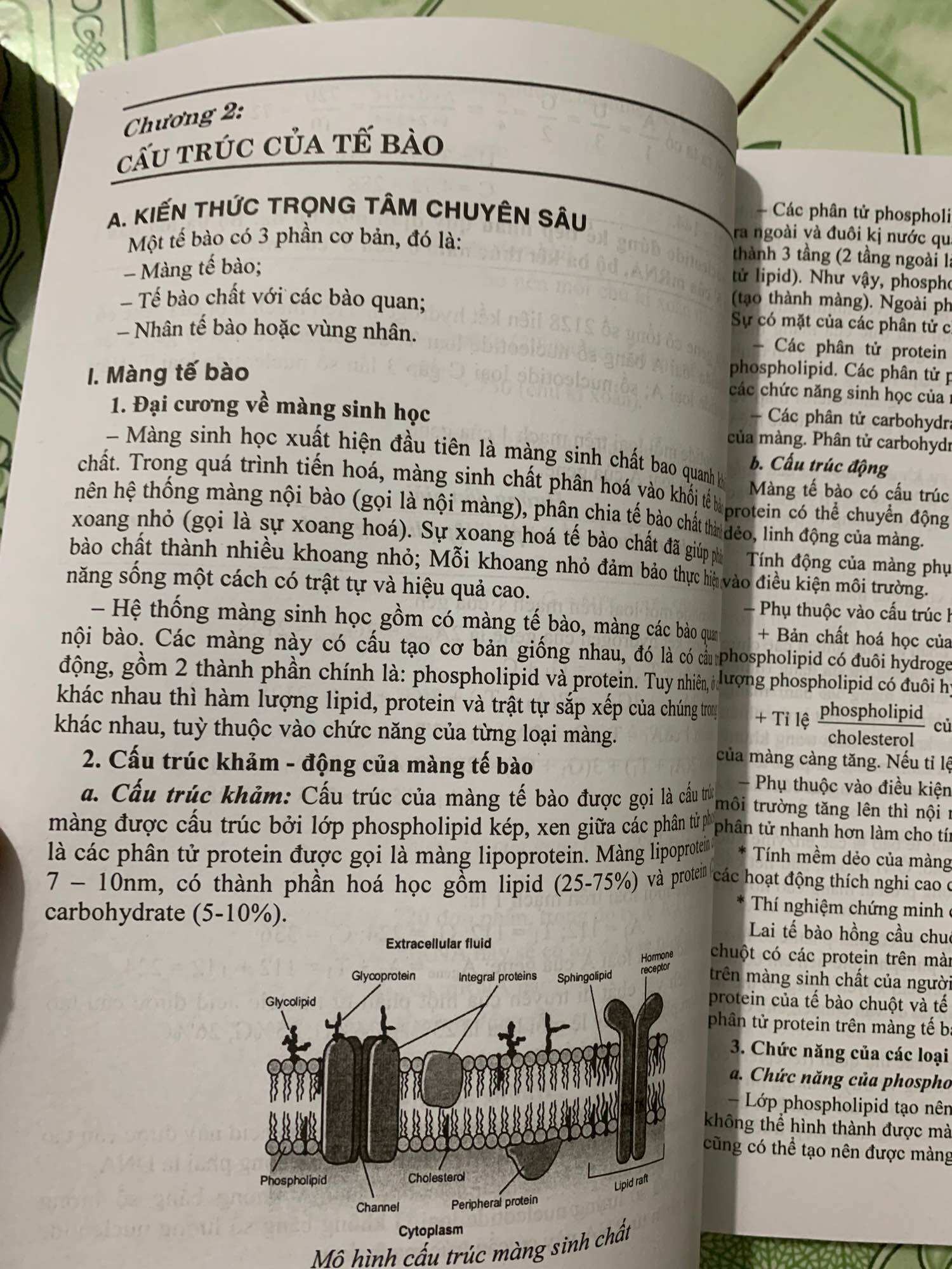 BỒI DƯỠNG HỌC SINH GIỎI SINH HỌC 10