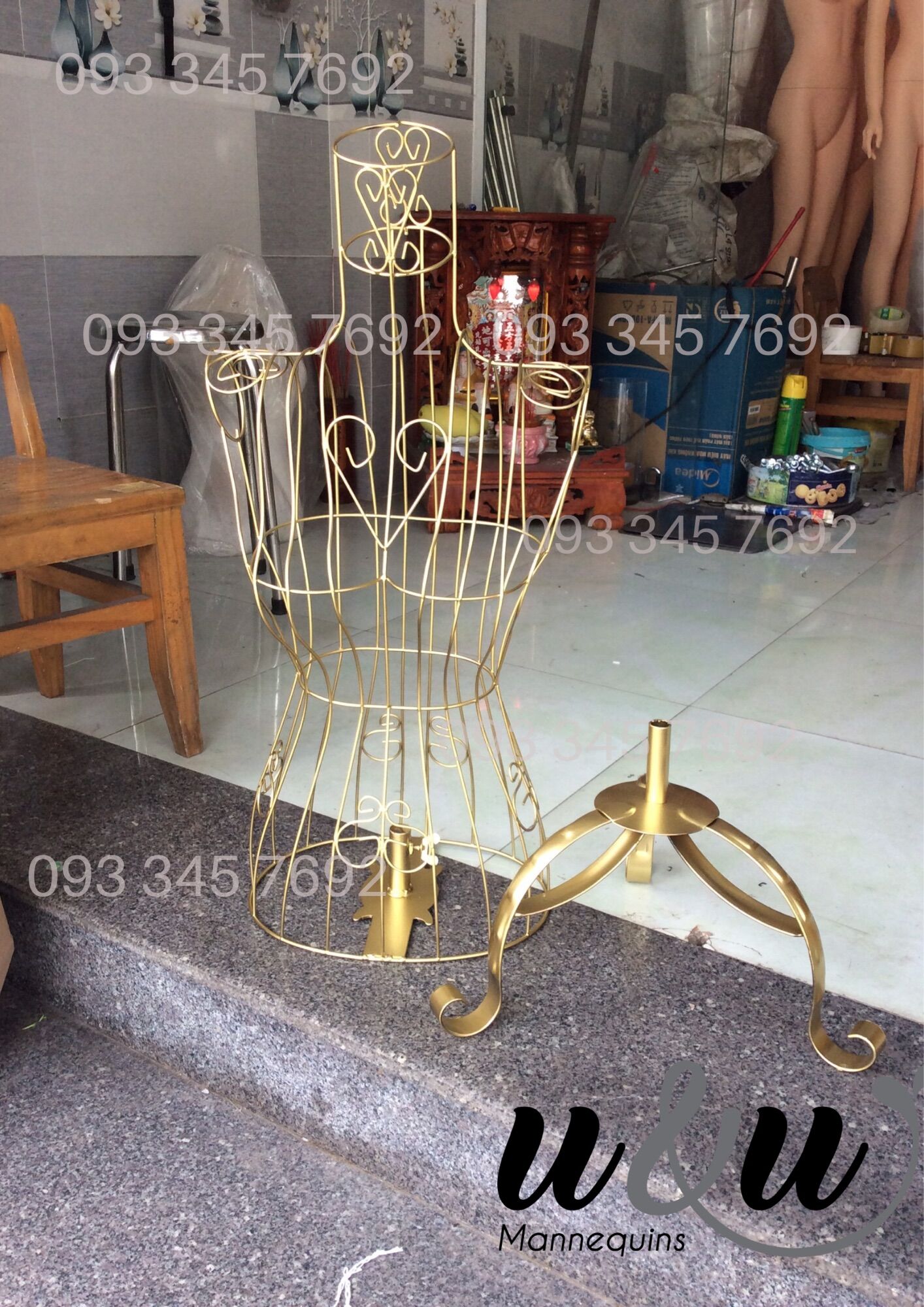 Manocanh sắt nữ vàng đồng (hình thật)