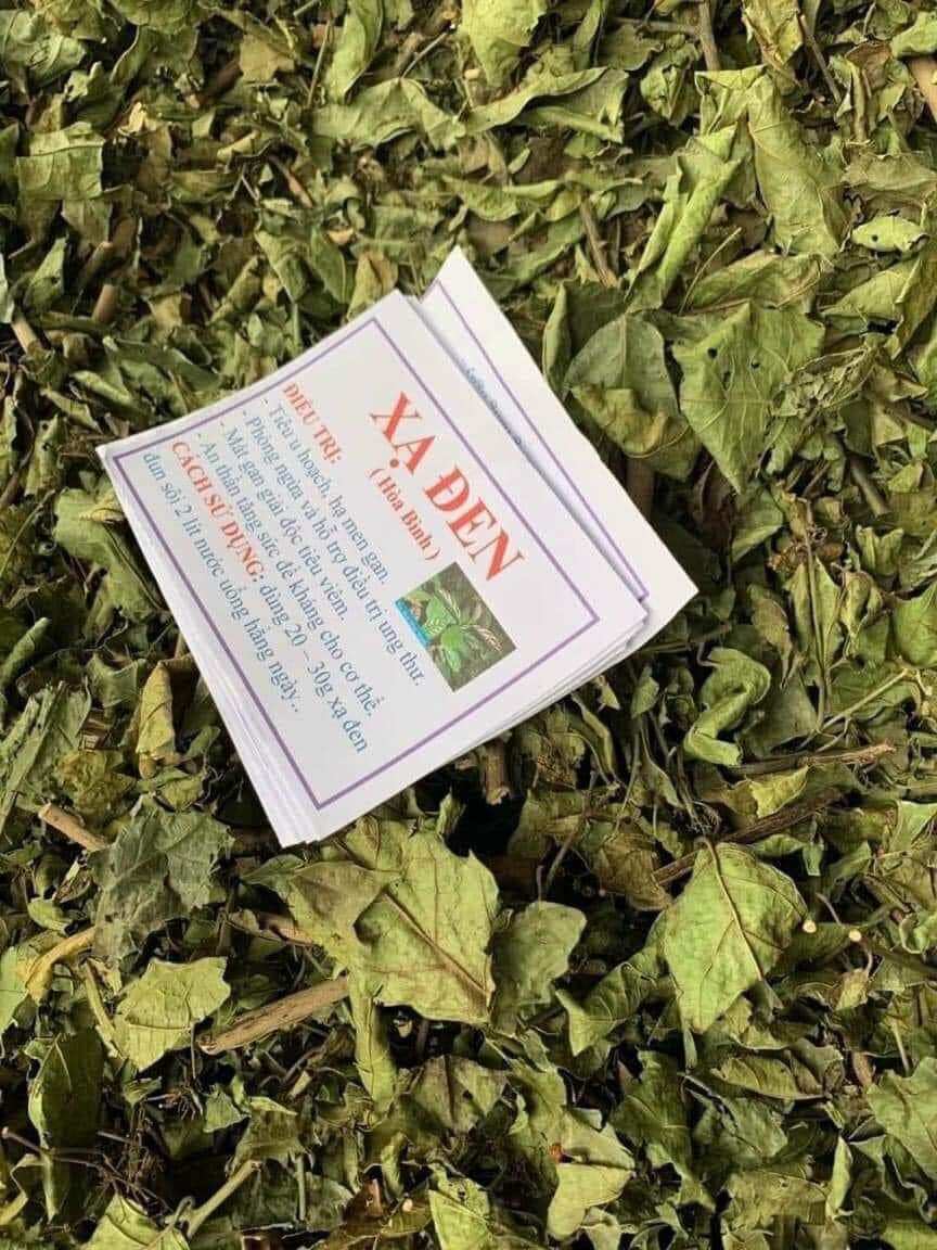 Xạ đen Hòa bình