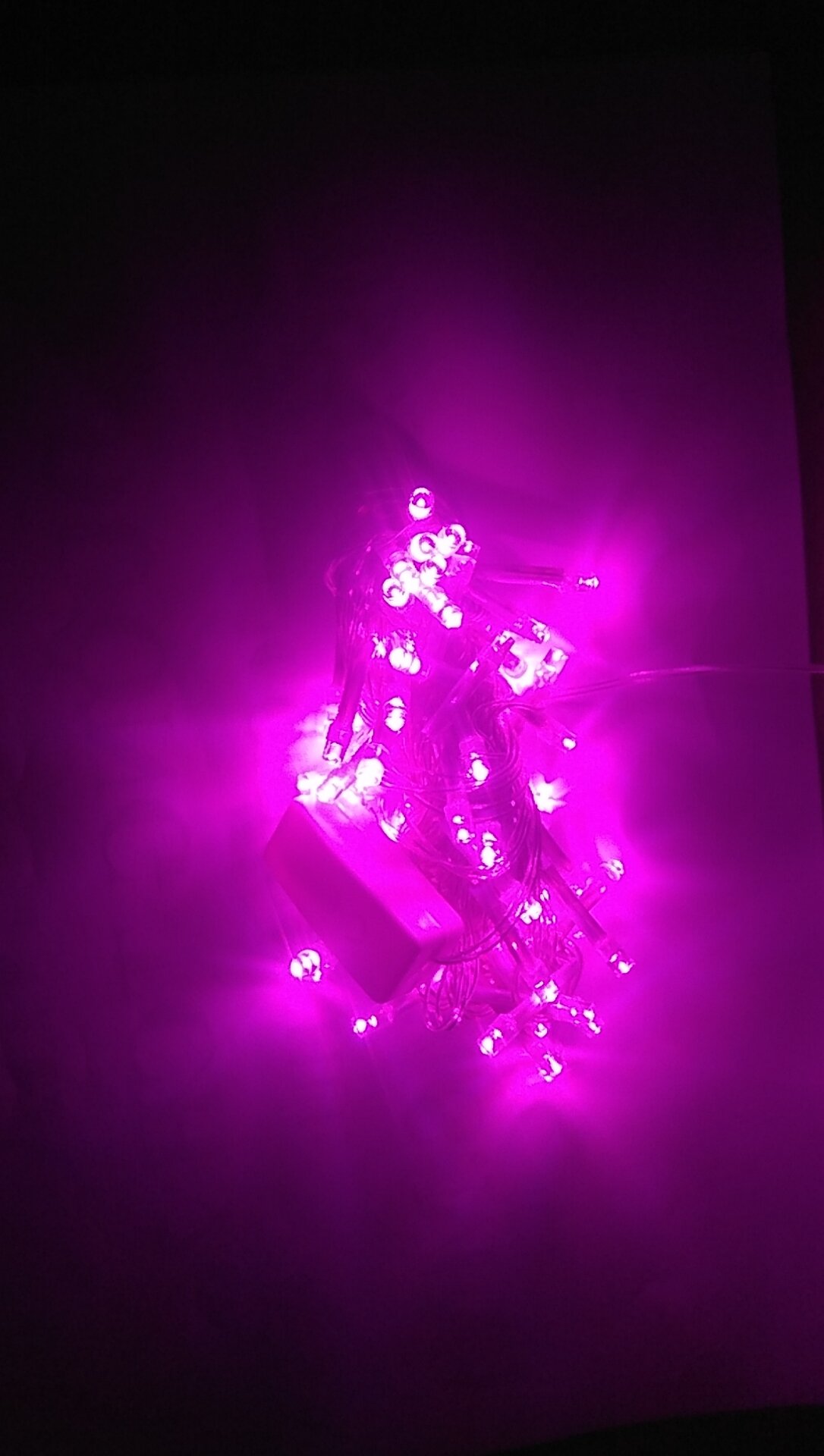 Đèn Led Dây Chớp 4m Được Chọn Màu Trang Trí Tết