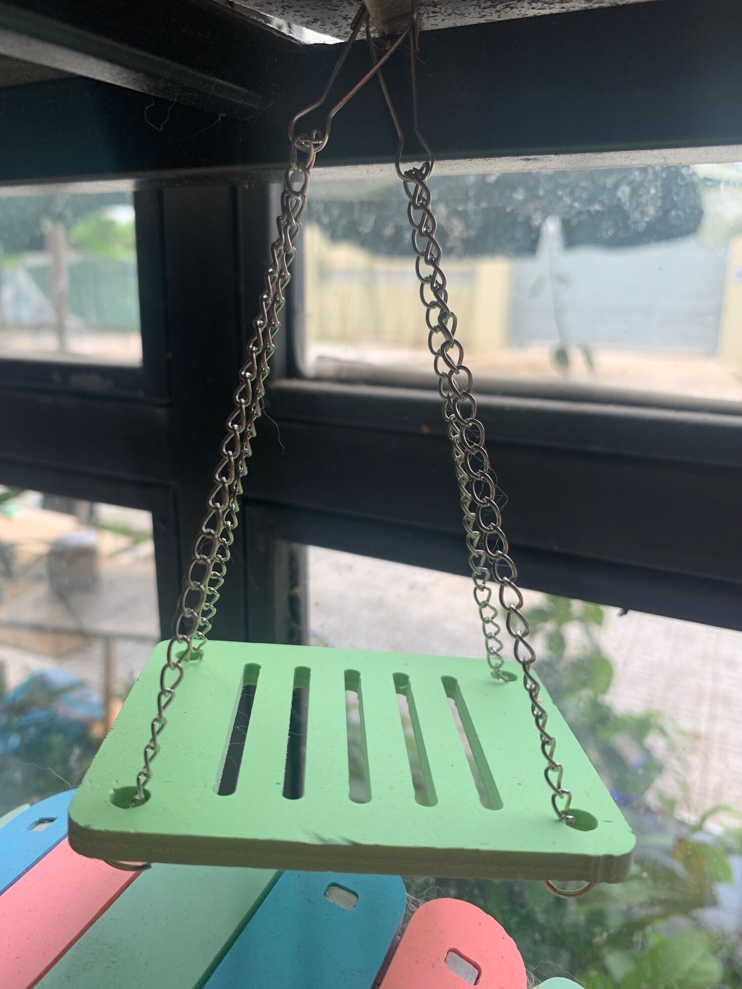 [HCM]Xích Đu Dành Cho Hamster