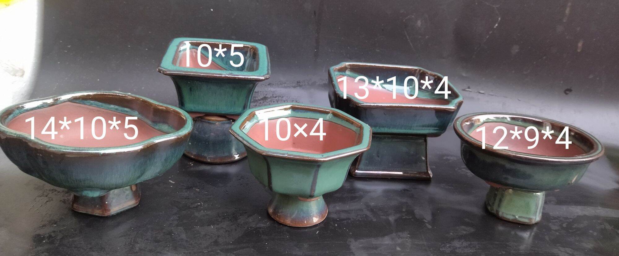 Combo 5 chậu bonsai