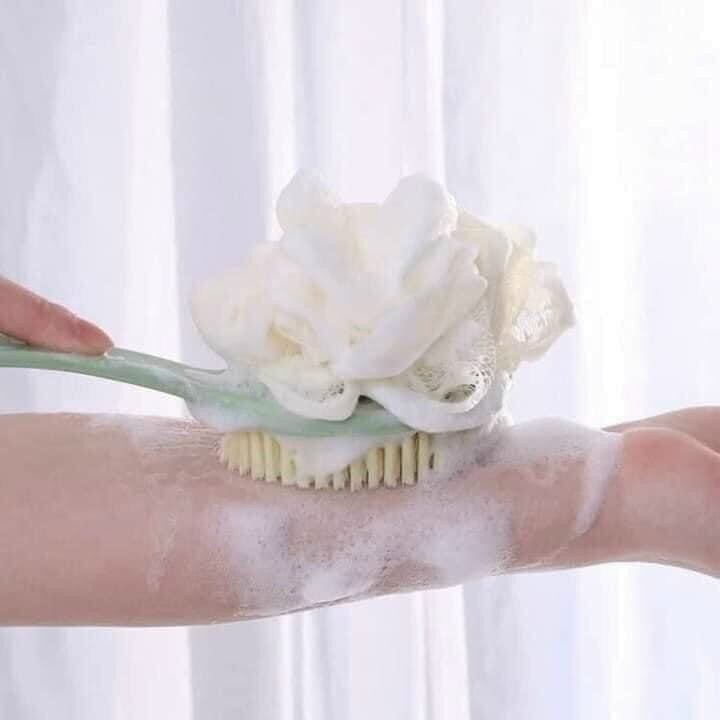 CÂY CỌ CHÀ LƯNG 2 ĐẦU TIỆN LỢI