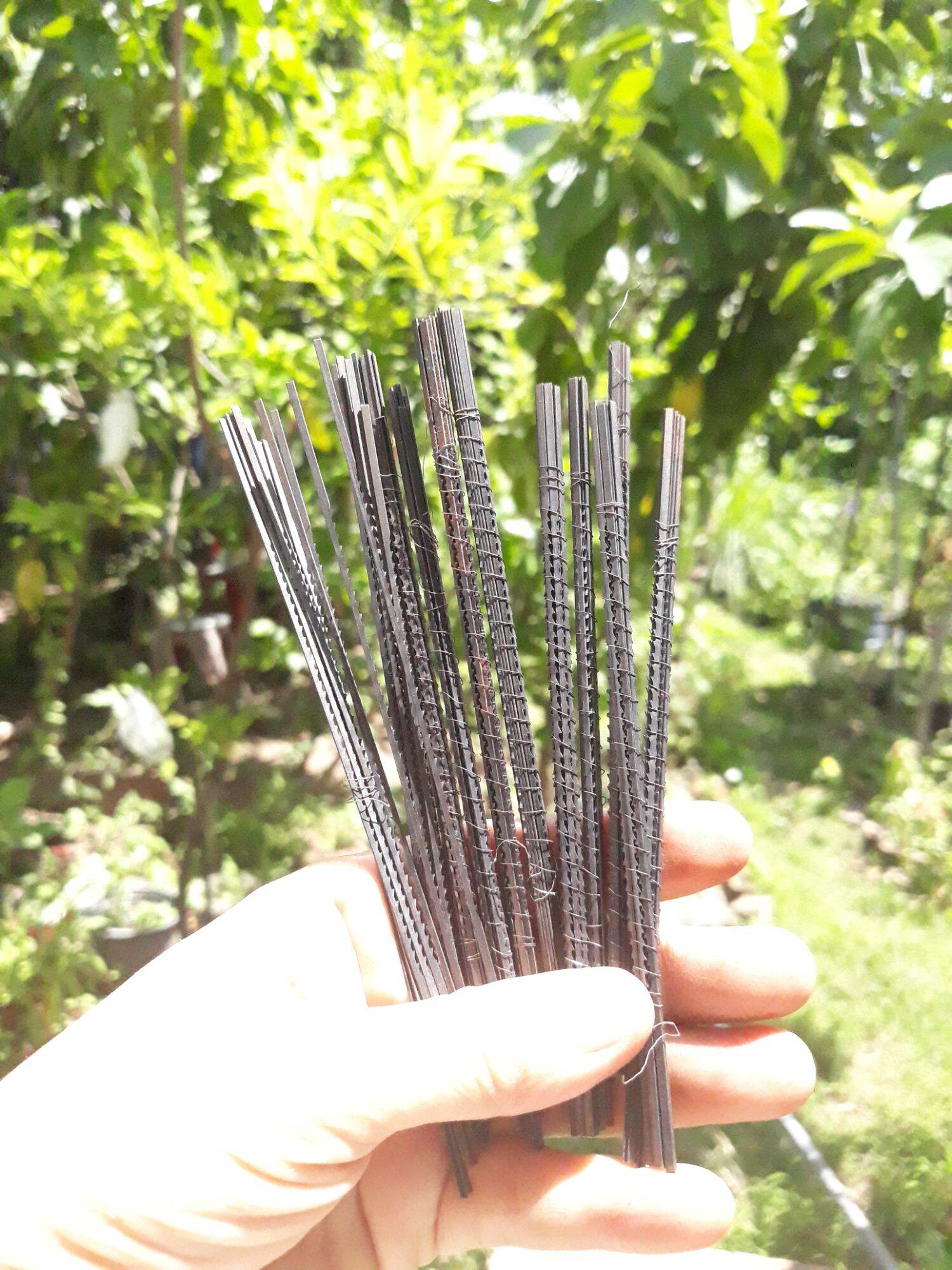 Lưỡi cưa lọng chỉ cắt gỗ