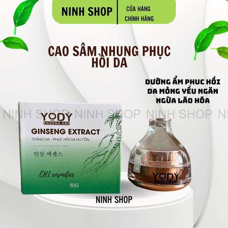 [MẪU MỚI ]Cao sâm nhung phục hồi da Yody White Phương Anh