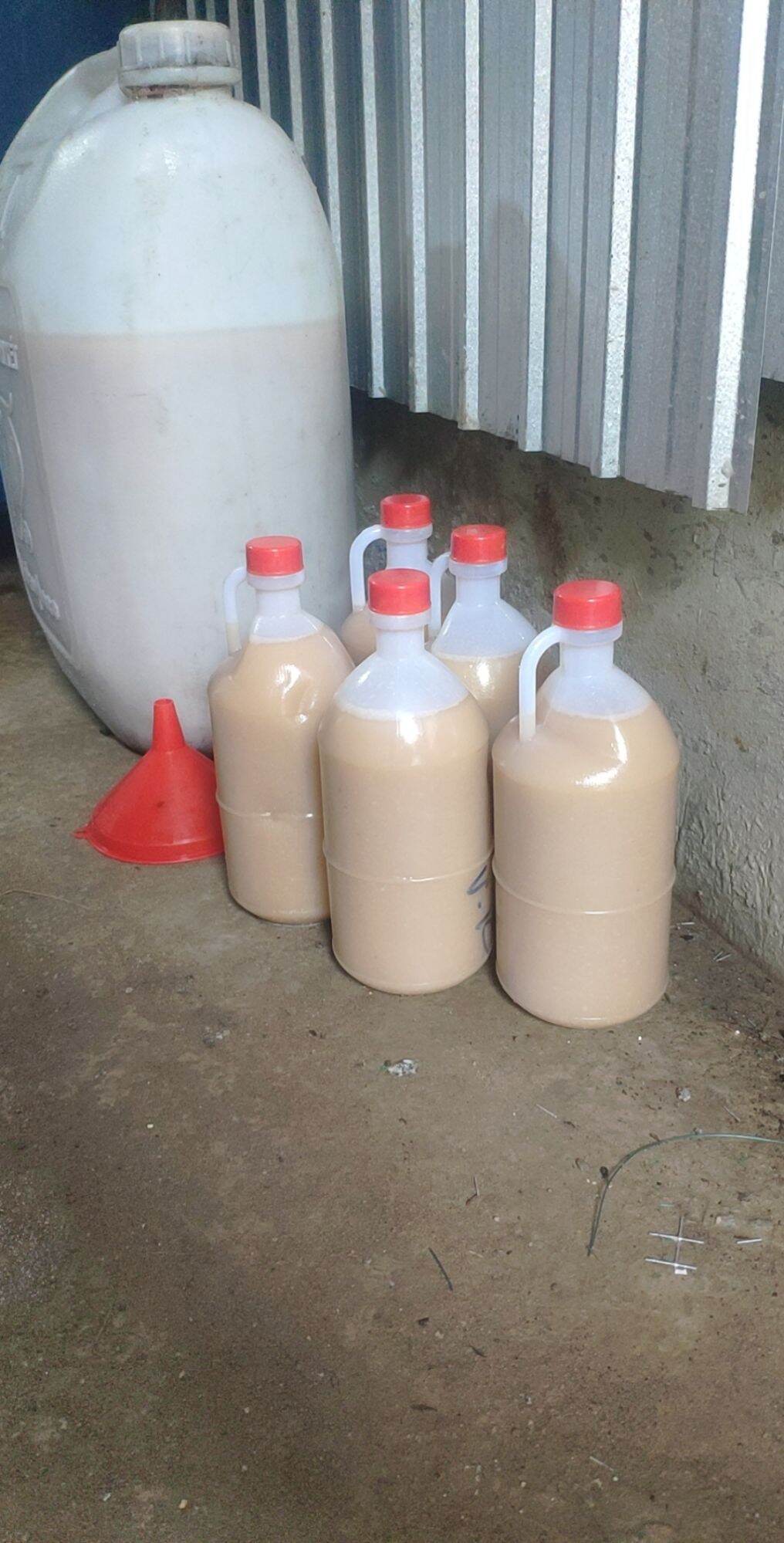 1 Lít Dầu Cá Làm Mồi Bẫy Ếch, Lươn, Cá, Chạch