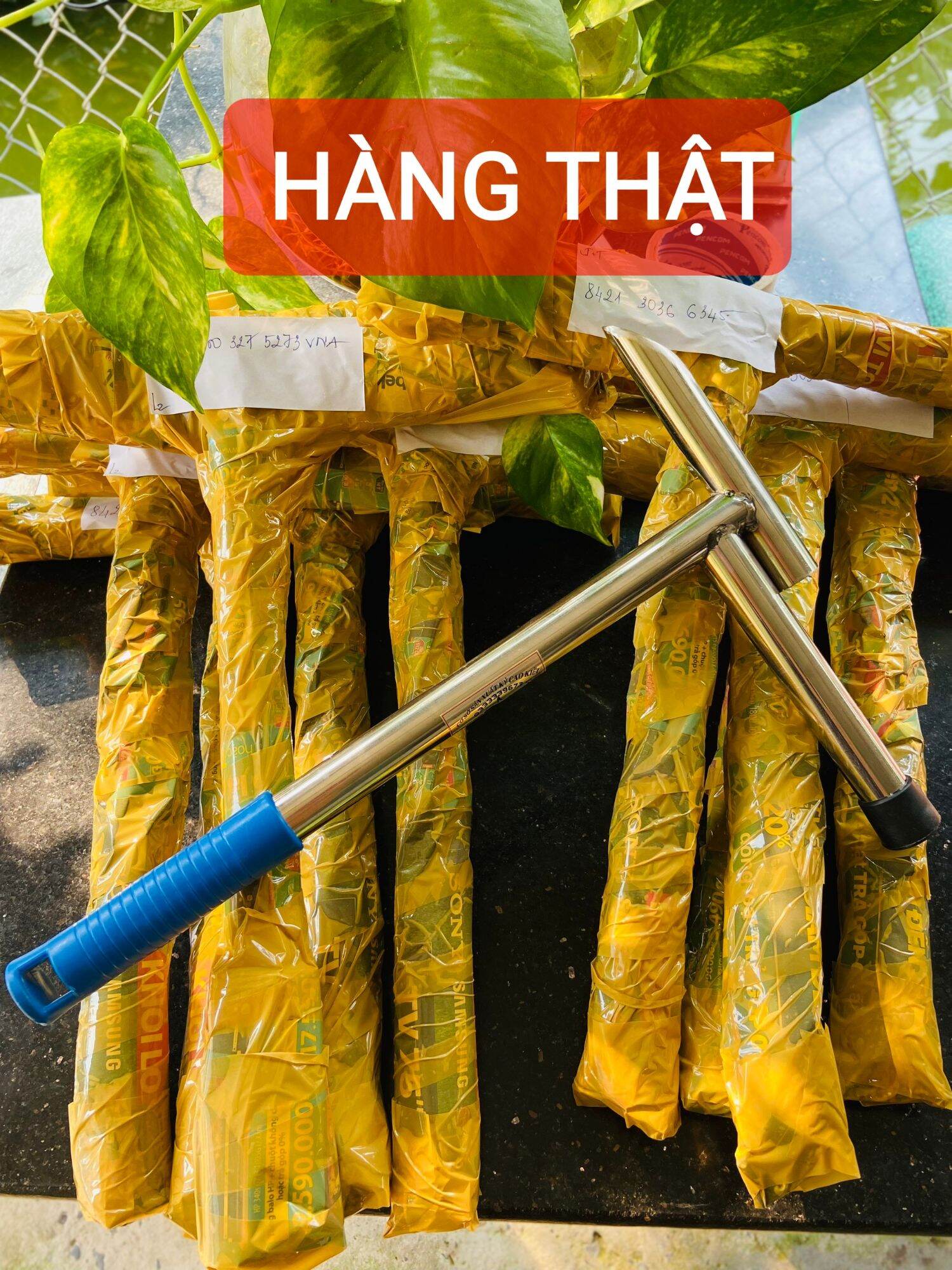 BÚA ĐỤC DỪA