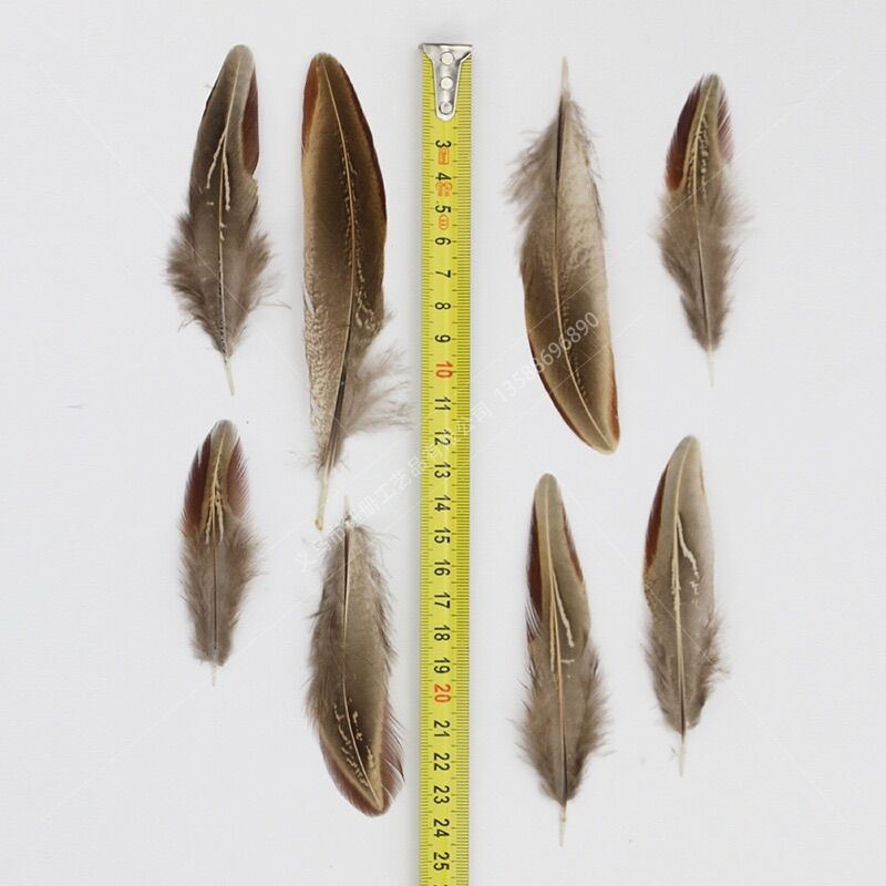 Lông vũ hoa văn tự nhiên, lông vũ làm dreamcatcher