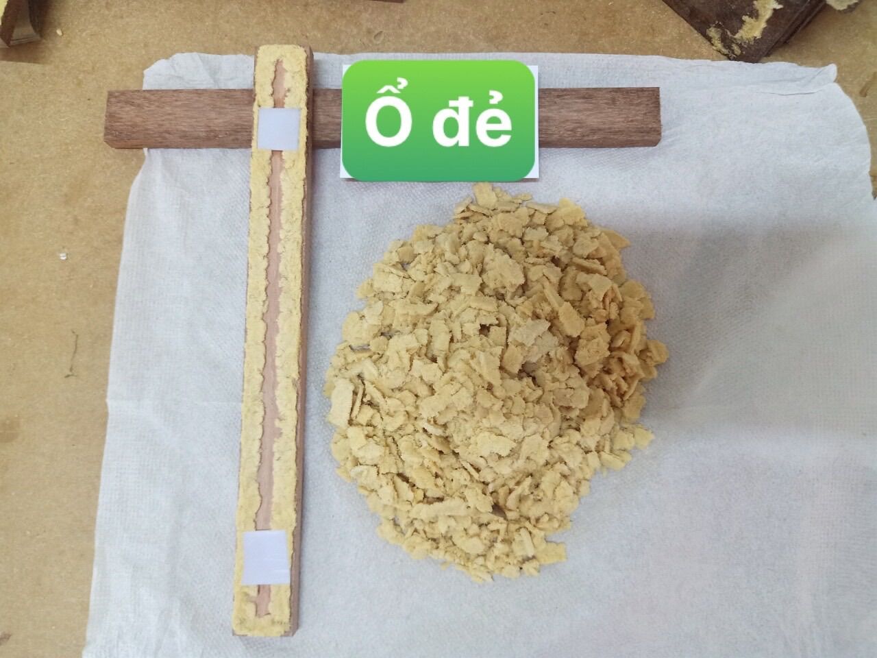 Thanh Ổ Đẻ cho Ruồi Lính Đen loại thường