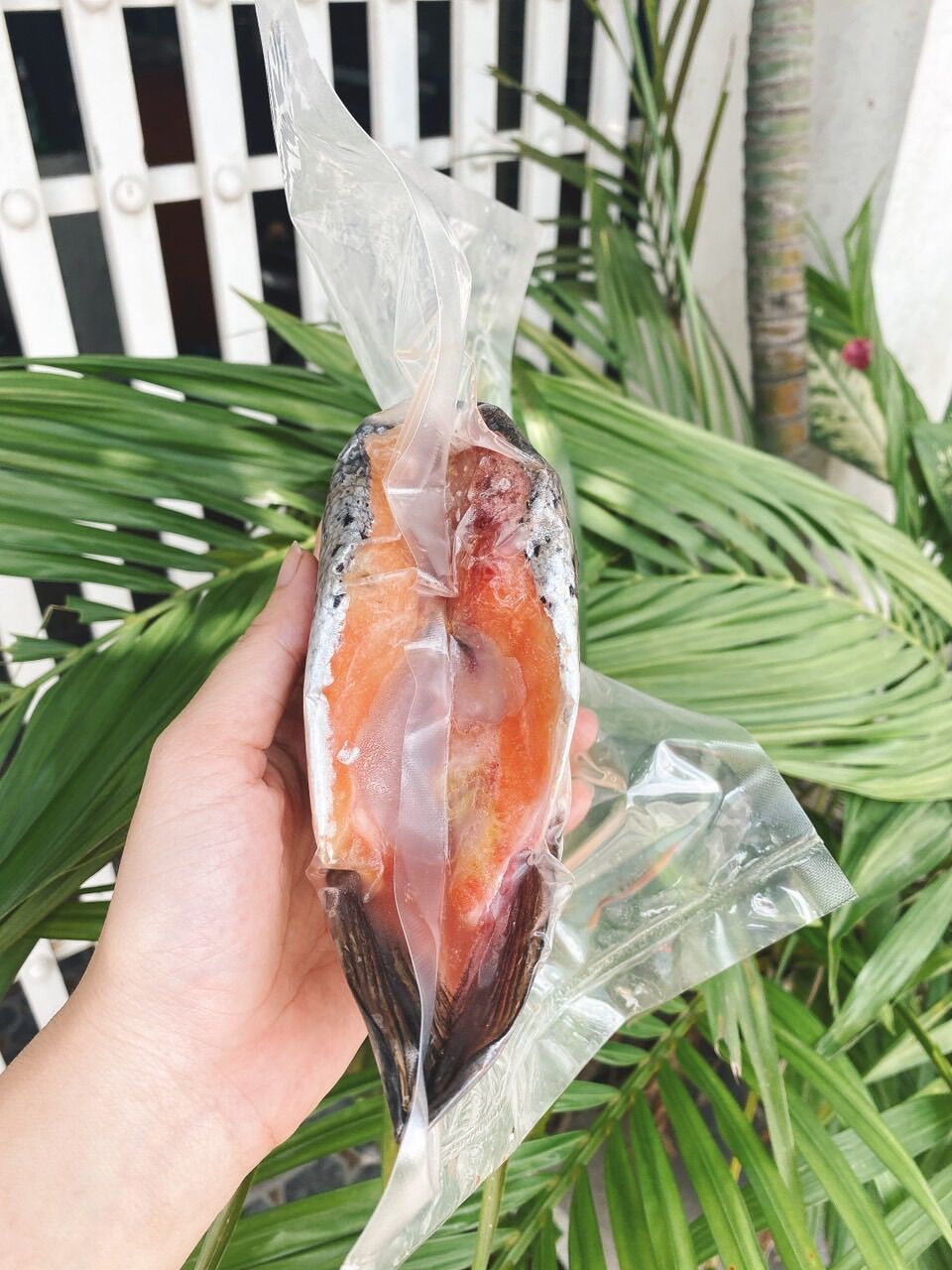 Đầu cá hồi hút chân không 700gr 2 đầu