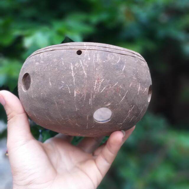 Gáo dừa trồng lan, hoa