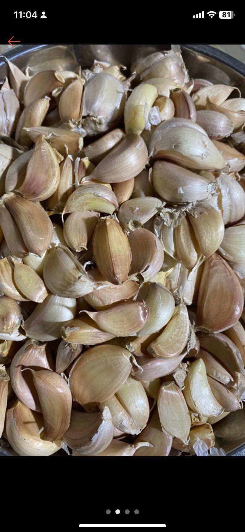 Tỏi củ, tỏi tép nhánh to