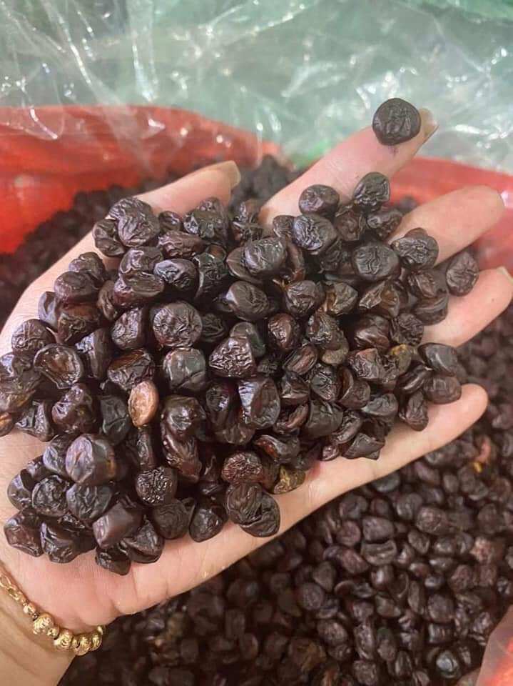 89k/100g hạt dổi rừng tây bắc vụ mới
