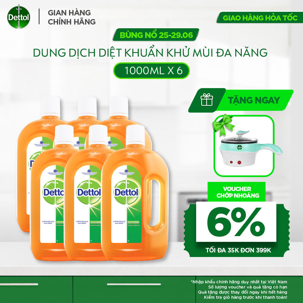 Combo 06 Dung Dịch Diệt Khuẩn Khử Mùi Đa Năng Dettol, Chai 1L